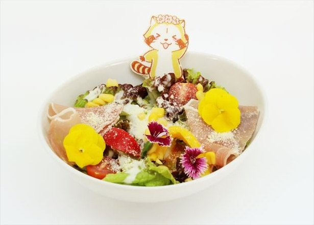 「ラスカルのお花畑シーザーサラダ」(500円)