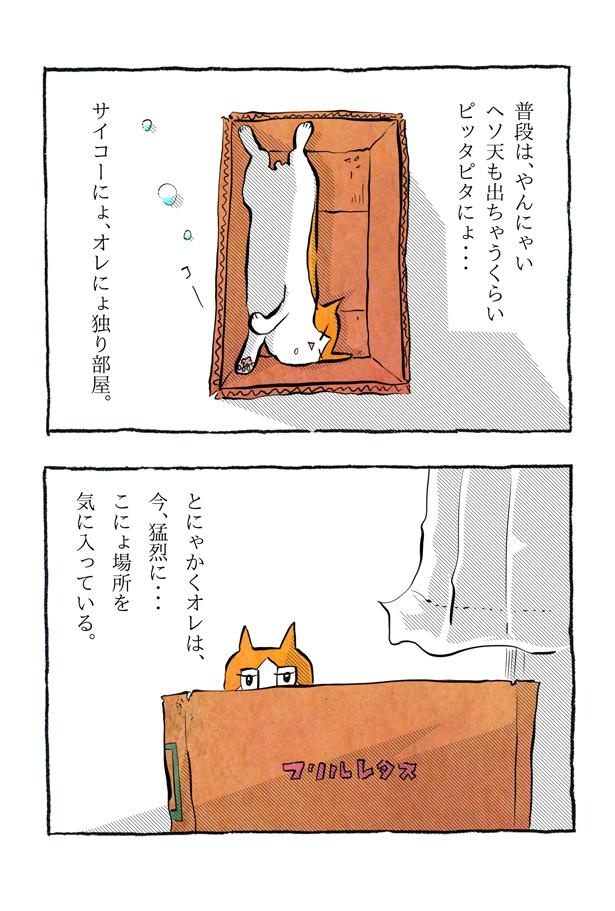 kotatsu093_04