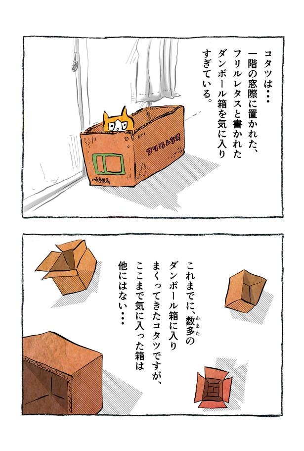 kotatsu093_09