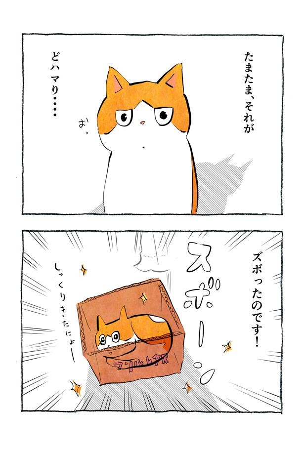 kotatsu093_12