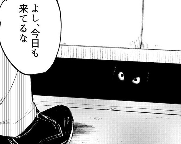 暗くて狭いところが好きなのは「猫」だけ？