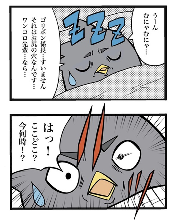 49-1