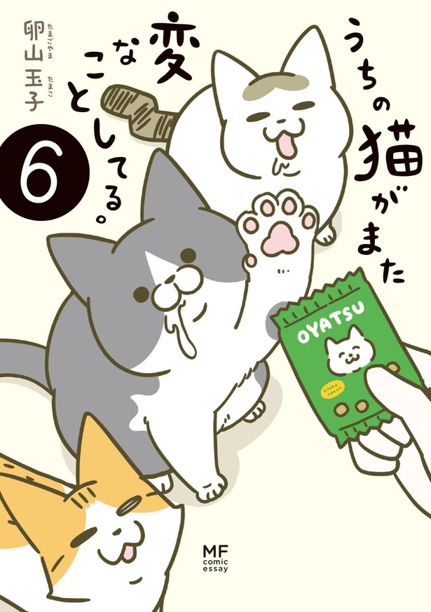 『うちの猫がまた変なことしてる。5』