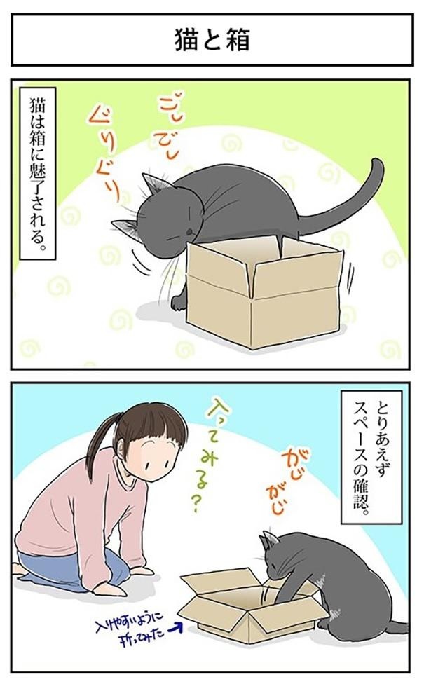 画像317 / 638＞【ネコ漫画】個性あふれる3匹の猫とのドタバタな日常を描いたコミックエッセイを一気読み！｜ウォーカープラス