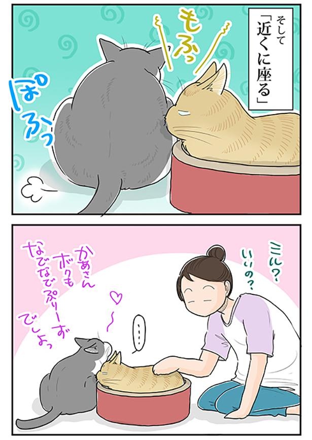ボクの作戦4
