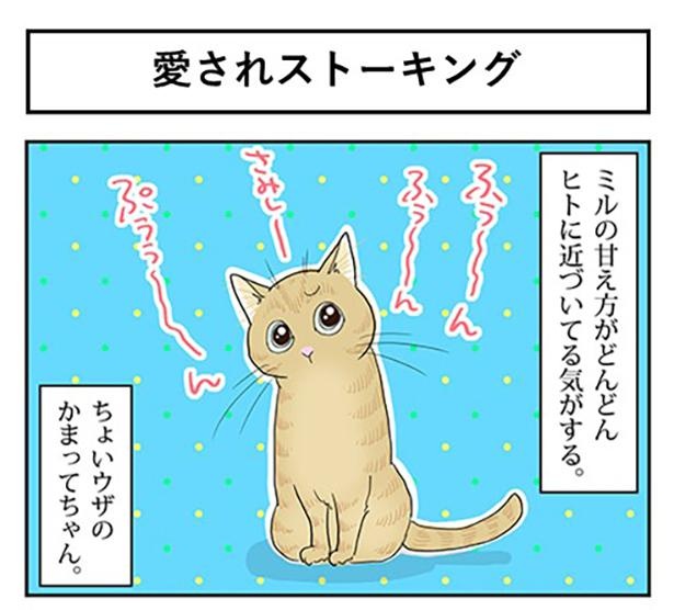 愛されストーキング1
