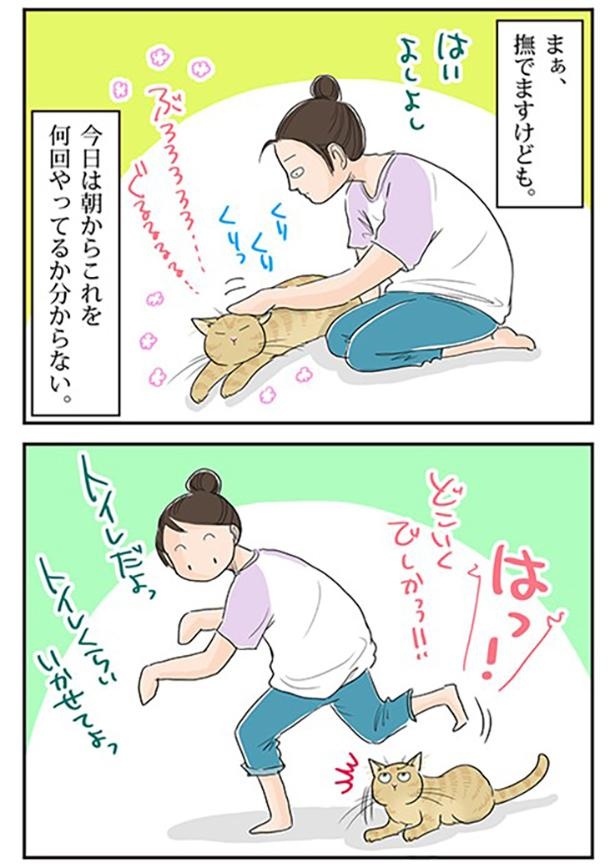 愛されストーキング2