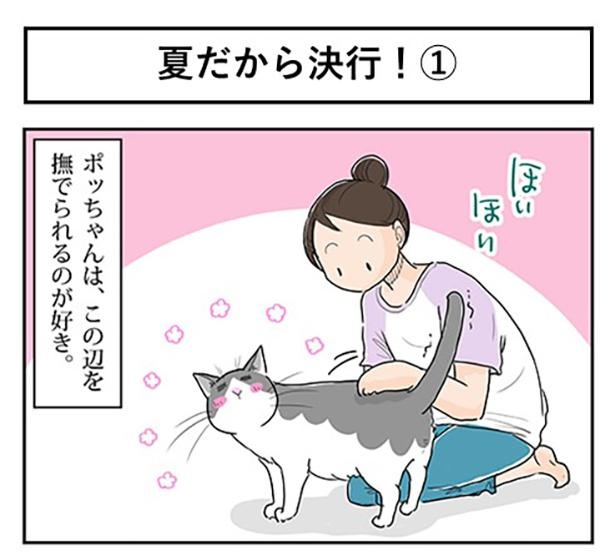夏だから決行！1-1