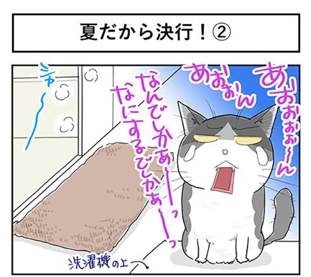 夏だから決行！2-1