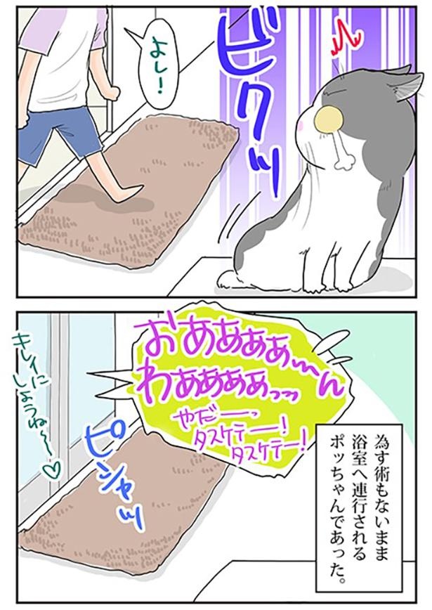 夏だから決行！2-2