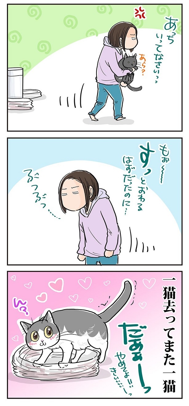 一猫去って また一猫_4
