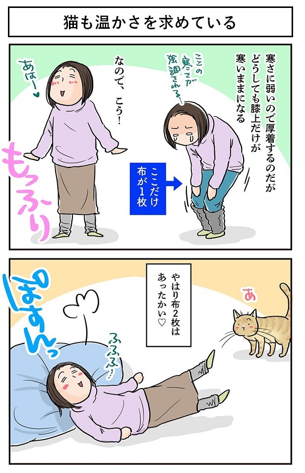 猫も温かさを求めている1