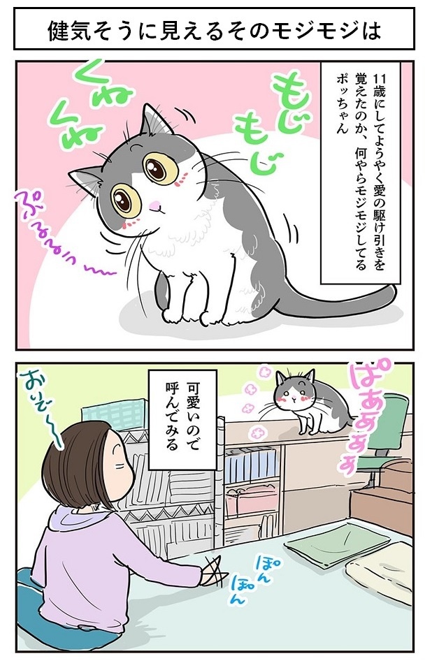 健気そうに見えるそのモジモジは1