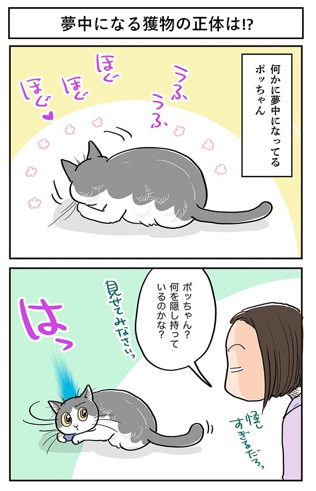 夢中になる獲物の正体は1