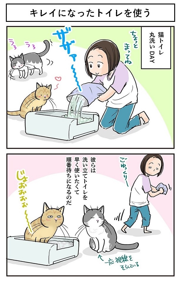キレイになったトイレを使う1