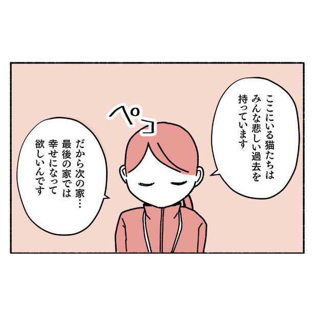 漫画 今度は絶対に幸せになってほしい 保護猫講習会で知った厳しい条件とは ねこ活はじめました 第2話 1 8 ウォーカープラス