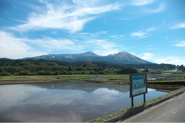 烏帽子岳や杵島岳など阿蘇五岳を眼前に臨む工場前の水田。1年中水を張り、そこで育てたお米を食べることで地下水保全活動を行っている