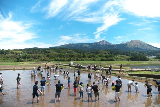 抜けるような青空に流れような白い雲。日差しは強いながら初夏ならではの爽やかな風が心地よい