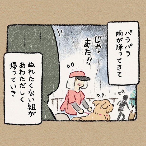 「夏の雨とドッグラン」3