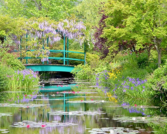 見ているだけで“癒やされ効果”抜群！人生で一度は行きたい、全国各地の花名所5選