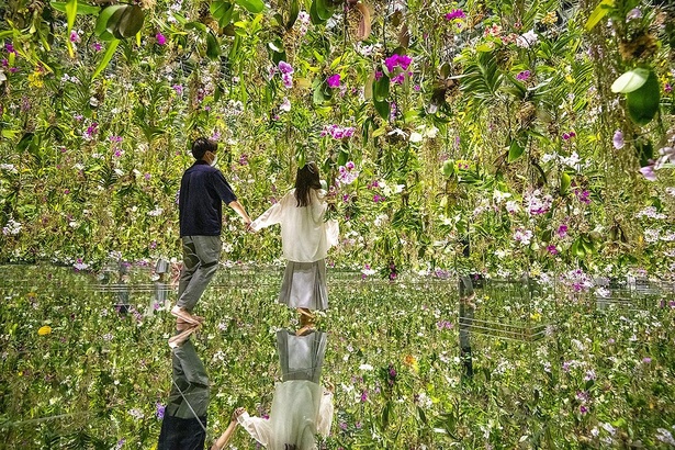 1万3000株のランの花に包まれる「Floating Flower Garden:花と我と同根、庭と我と一体」