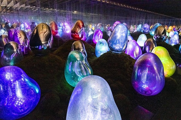 卵型のオブジェが紡ぎ出す光と音の作品「呼応する小宇宙の苔庭 - 固形化された光の色」