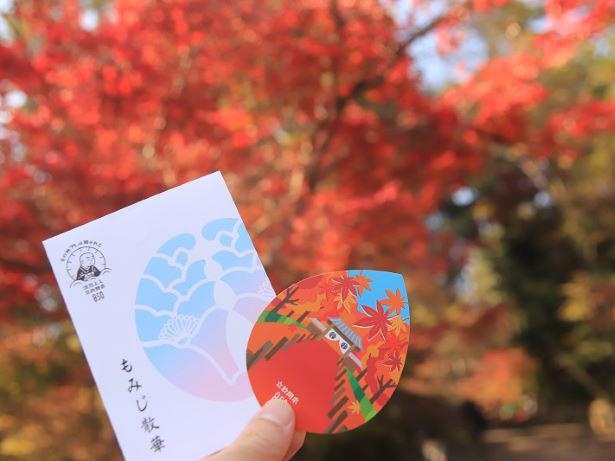 JR東海の「そうだ京都、行こう。」のCMにも起用された光明寺の紅葉