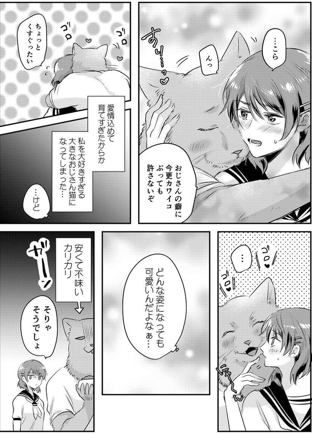 おじさん猫と私(4)