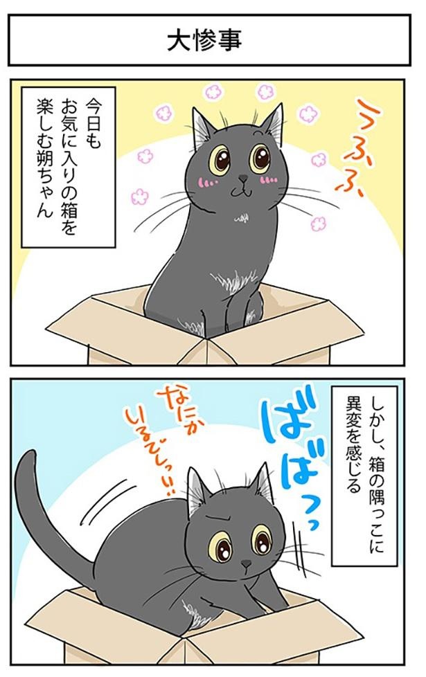 猫の大惨事 猫スナイパーが異変を感じてターゲットを仕留めたら 結末に わざとじゃない トムとジェリーみたい の声 ウォーカープラス