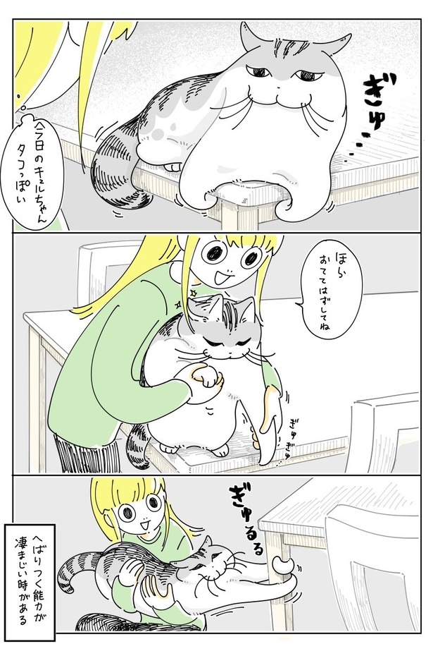03