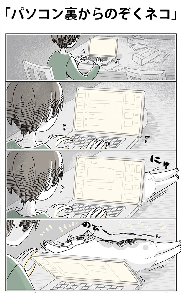 「パソコン裏からのぞくネコ」01