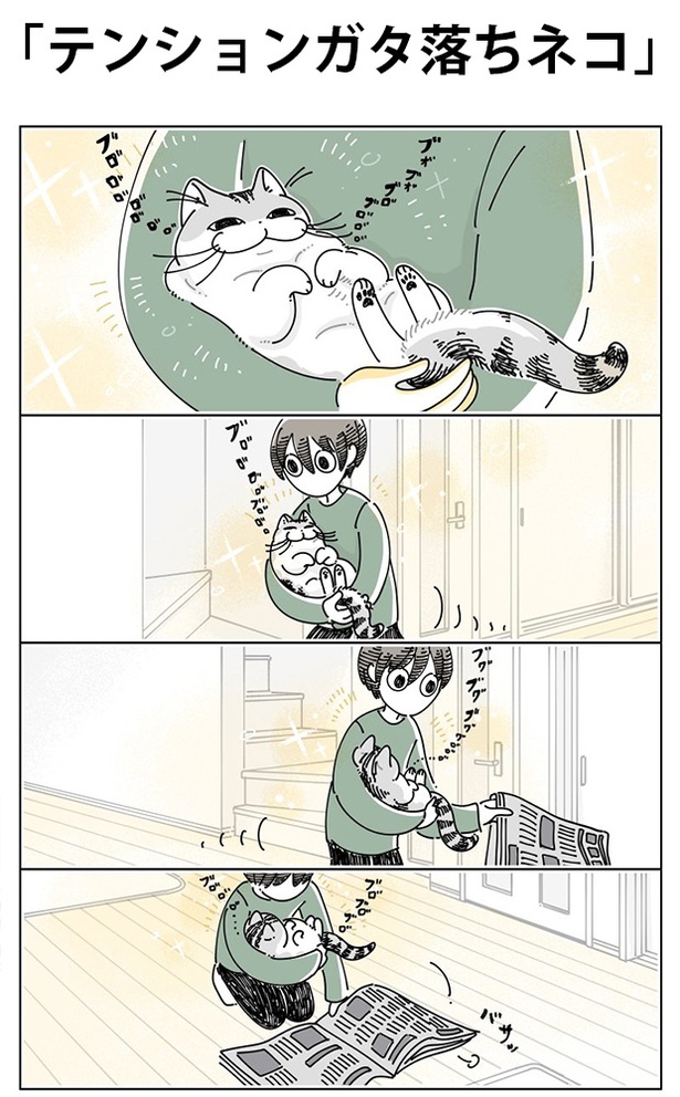 「テンションガタ落ちネコ」01