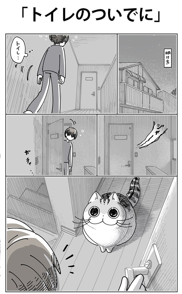 「トイレのついでに」01