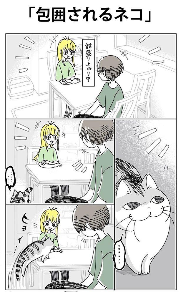 「包囲されるネコ」01