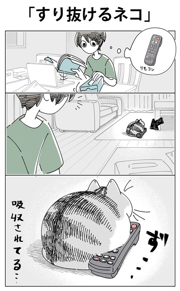 「すり抜けるネコ」01