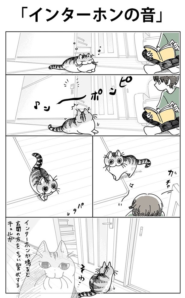 「インターホンの音」01