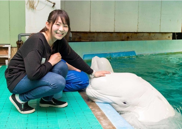 生き物とのふれあいもできる