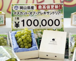 “果物の女王”岡山県産「マスカット・オブ・アレキサンドリア」初値は過去最高の1箱10万円！