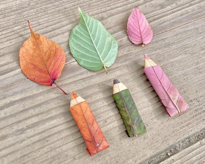 サクラの落ち葉がカラフルな色鉛筆に！草花あそびのプロが語る魅力とは？