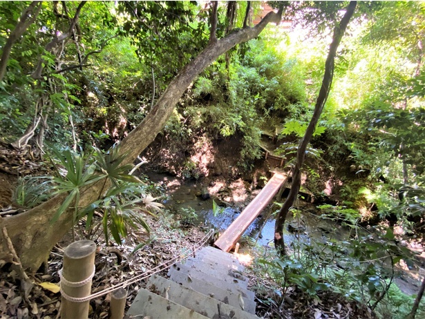 森林プライベートデッキサイトから川へと下る階段は少し急なので、足元に気を付けて歩こう