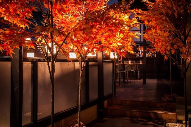 紅葉のオブジェで飾られた秋一色のテラス席で「紅葉BBQ」の各種プランがスタート！