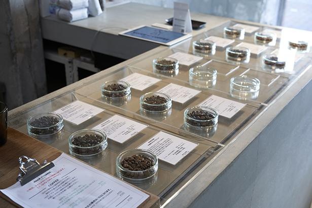 コーヒー豆は蓋つきのガラス器で陳列。豆の香りを試すこともできる