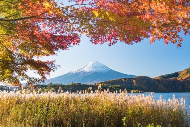富士山の絶景も楽しもう