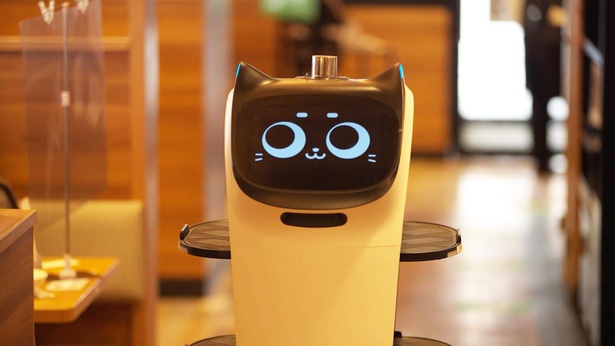 食事を運ぶネコ型ロボット「べラボット」。表情にもバリエーションがある