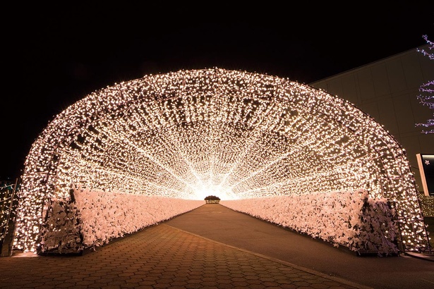 桜並木で夜桜を楽しんでいるような気分にさせてくれる「江戸桜トンネル」。LEDの1つ1つが桜の花びらの形をしている