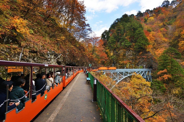 峡谷が色とりどりの紅葉に彩られる
