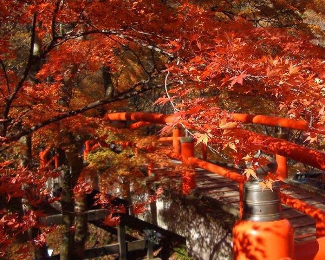 紅葉シーズン直前！まもなく見頃を迎えそうな東日本・西日本の紅葉名所ガイド