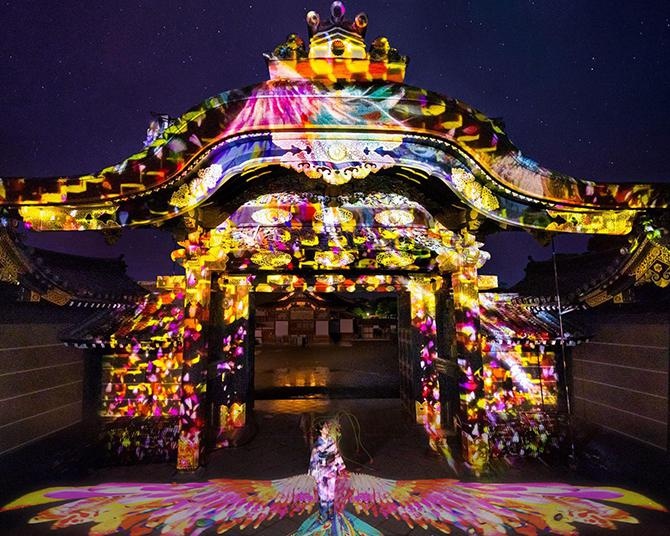 2022年秋の旅行は京都で決まり！リアルとメタバースの両方で楽しめるイベント『NAKED FLOWERS 2022 秋 世界遺産・二条城』とは