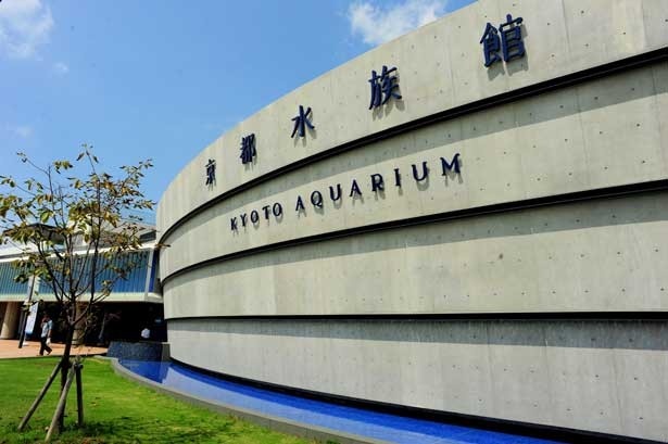 ナイトツアーが開催される京都水族館