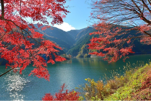 有馬渓谷下流に広がる名栗湖沿いの紅葉も見ものだ